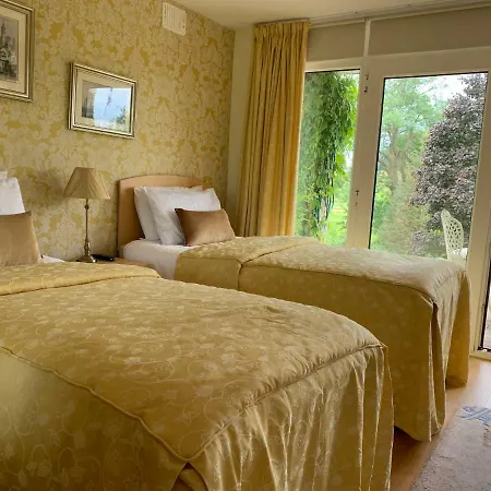 Clones 'greenjoy - *